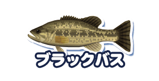 ブラックバス