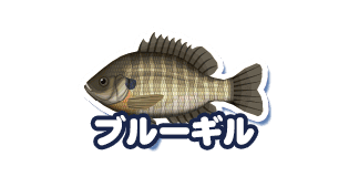 ブルーギル
