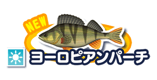 ヨーロピアンパーチ