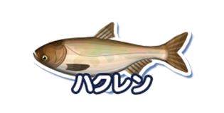 ハクレン