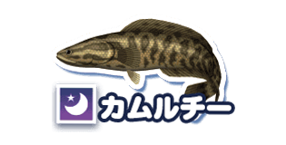 カルムチー
