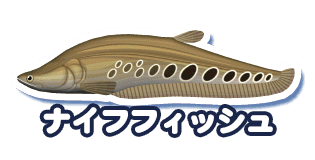 ナイフフィッシュ
