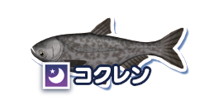 コクレン