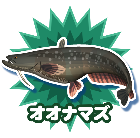 オオナマズ