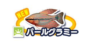パールグラミー