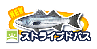 ストライプドバス