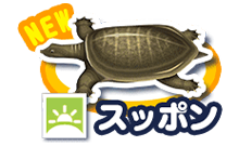 スッポン