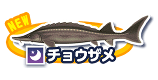 チョウザメ